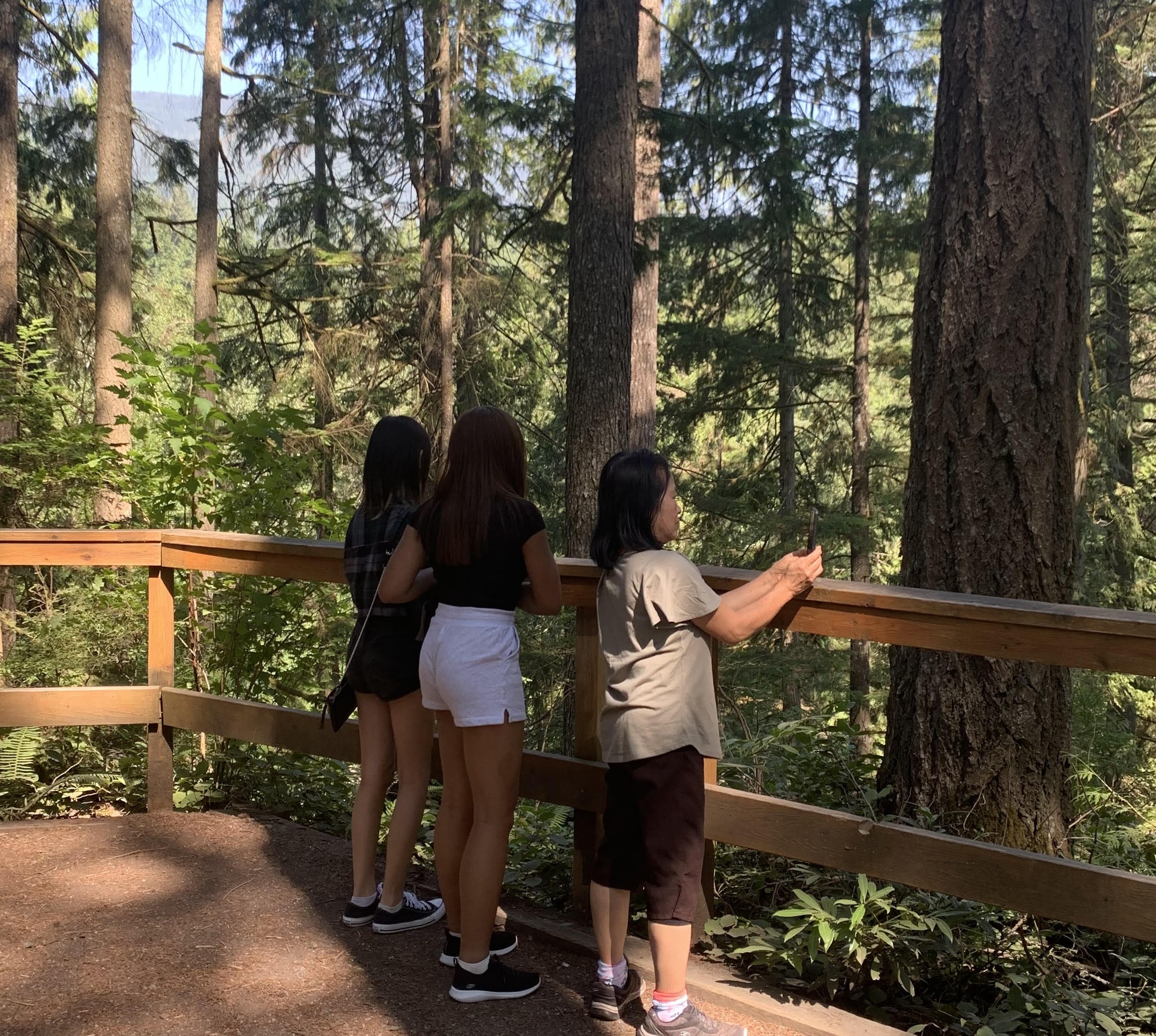 People standing on a BC forest trail lookout, Canada